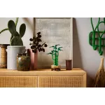 LEGO® Botanical Collection Szerencsebambusz