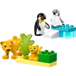 LEGO® DUPLO® Állatcsaládok a vadvilágban: Pingvinek és oroszlánok