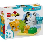LEGO® DUPLO® Állatcsaládok a vadvilágban: Pingvinek és oroszlánok