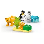 LEGO® DUPLO® Állatcsaládok a vadvilágban: Pingvinek és oroszlánok