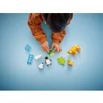 LEGO® DUPLO® Állatcsaládok a vadvilágban: Pingvinek és oroszlánok
