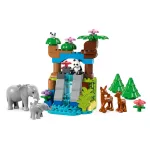 LEGO® DUPLO® 3 az 1-ben állatcsaládok a vadvilágban