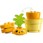 LEGO® DUPLO® Sárgarépa-ültetés