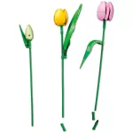 LEGO® Botanical Collection Tulipáncsokor