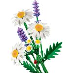 LEGO® Botanical Collection Százszorszépek