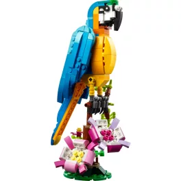 LEGO® Creator Egzotikus papagáj