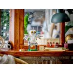 LEGO® Harry Potter™ Hedwig™ a Privet Drive 4-ben