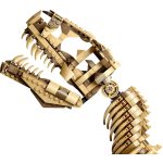 LEGO® Jurassic World™ Dinoszaurusz maradványok: Tyrannosaurus rex